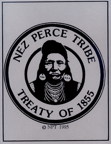 What were some of the foods eaten by the Nez Perce Indians?