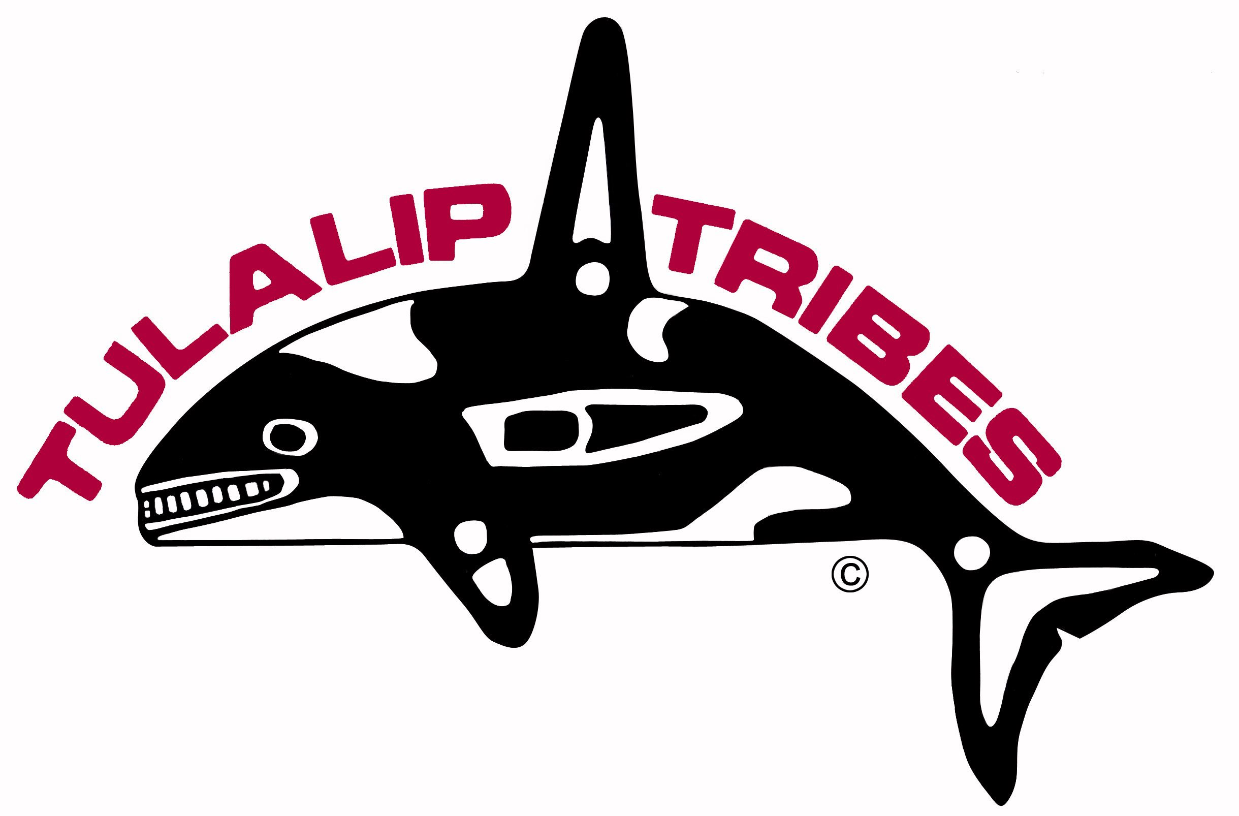 tulalip Tribes symbol