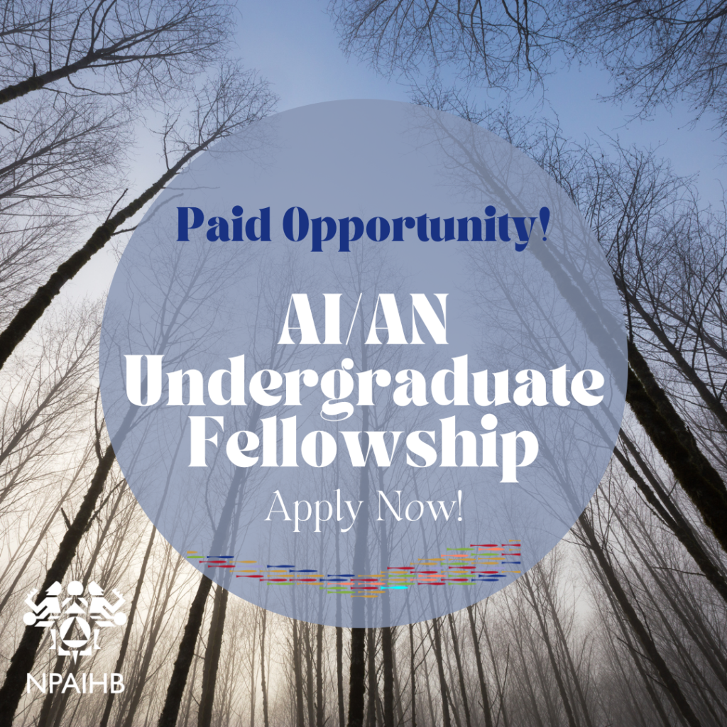 PAID AI/AN Undergraduate Fellowship