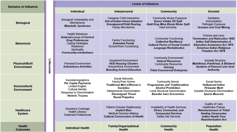 Domains and Levels of Influence chart