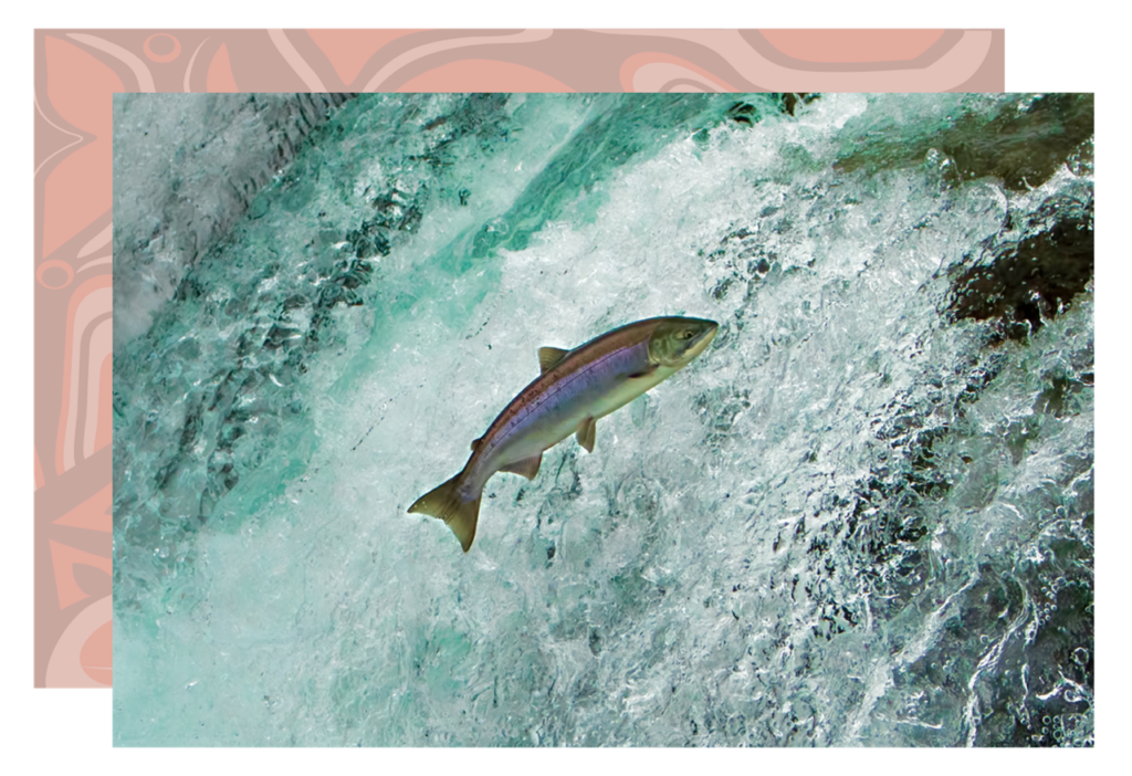 Data Fish