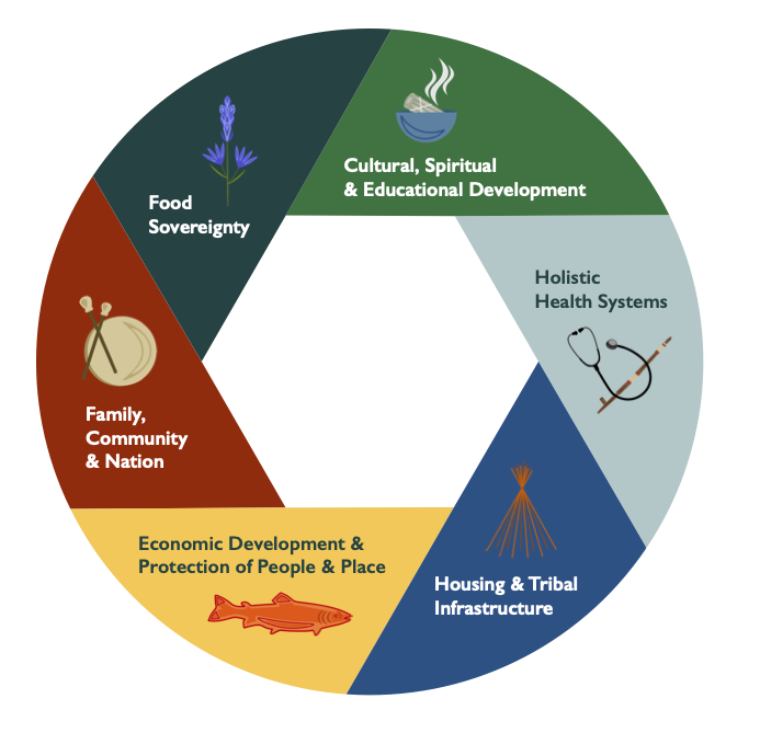 Social Determinants of Health graphic